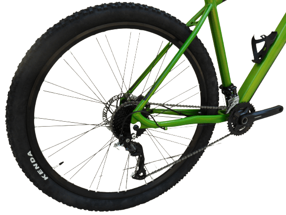 MTB_Olivieri_MBA-05-2