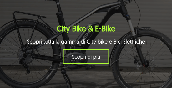 Olivieri-mba-bici-biciclette-citybike_e-bike