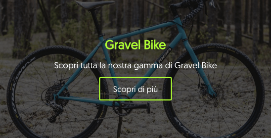 Olivieri-mba-bici-biciclette-gravel_bike