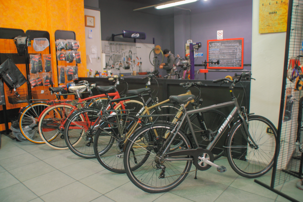 biciclette verona centro mba olivieri