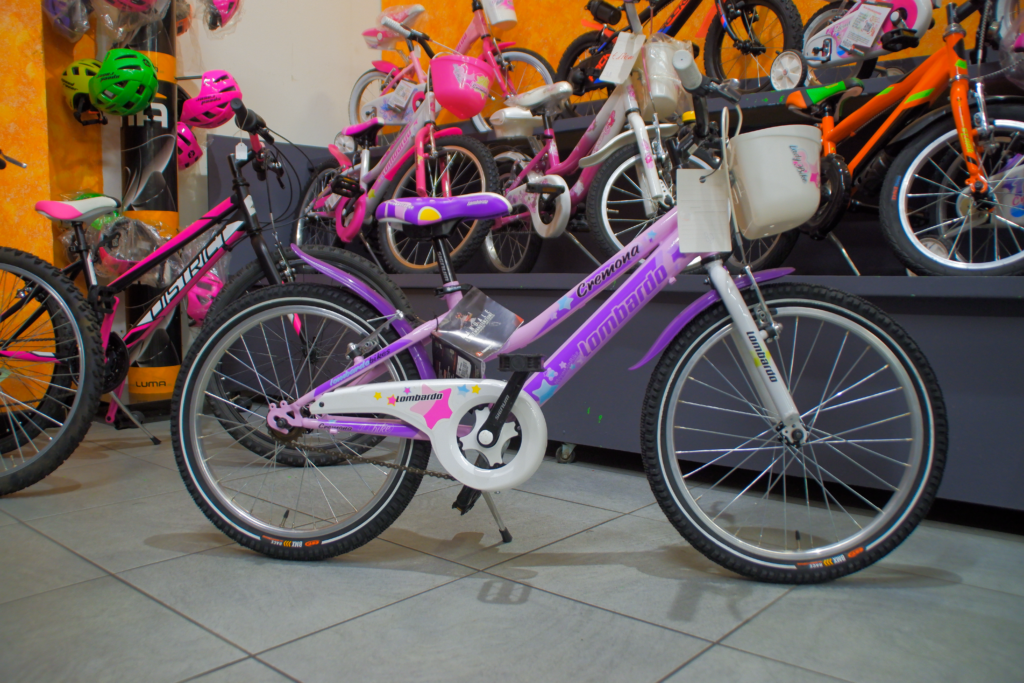 biciclette verona centro mba olivieri